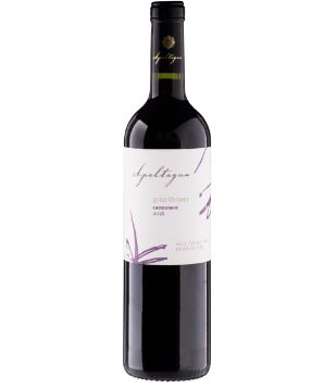 Vh Chileno Tt Apaltagua Gran Verano Carmenere 750ml