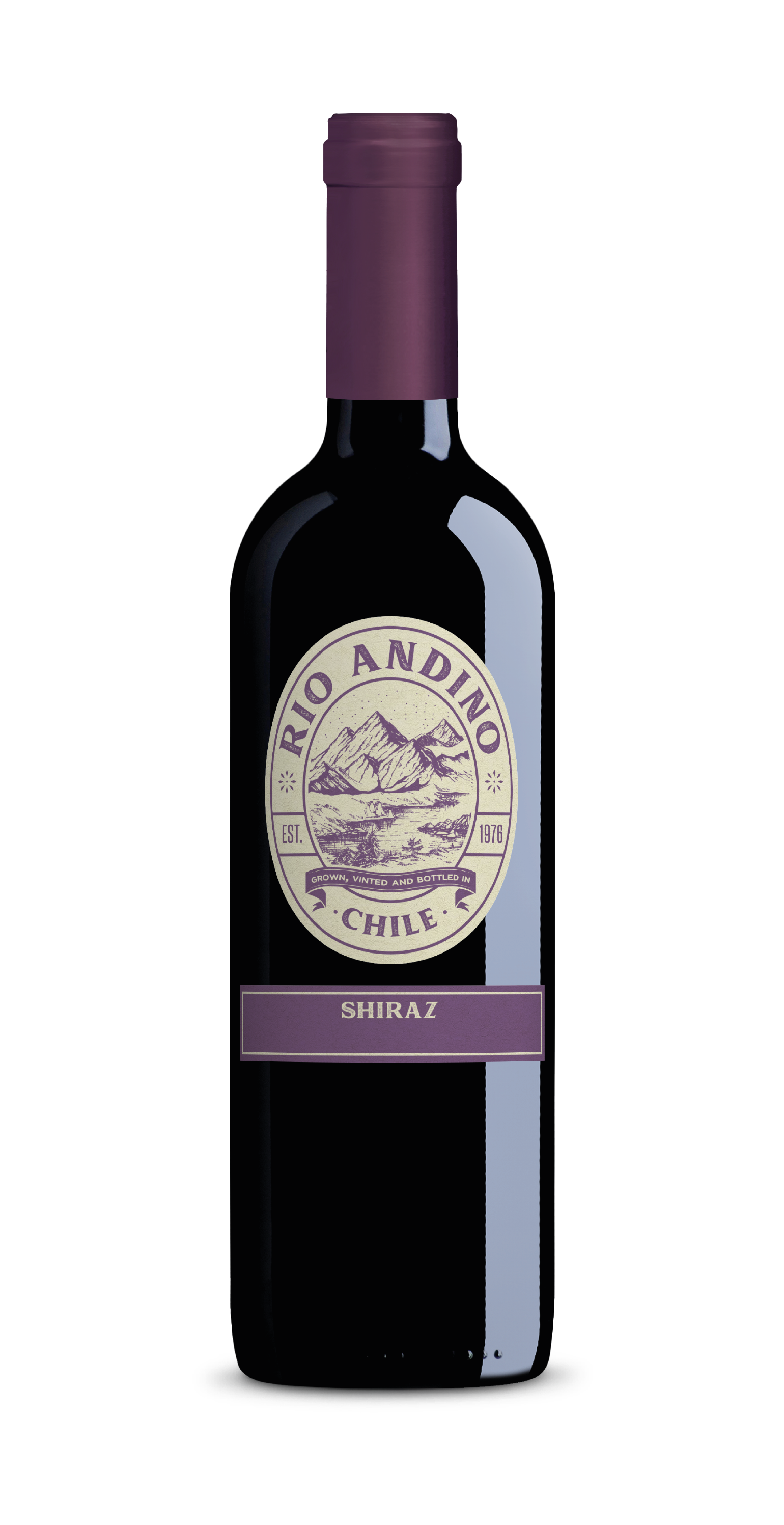 Chileno Tinto Rio Andino Syrah - 750ml